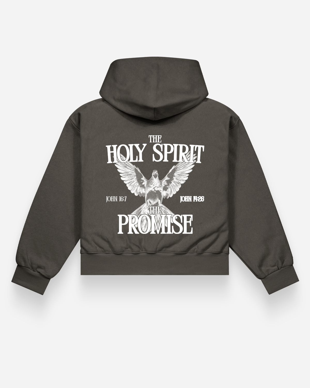 The Holy Spirit/The Promise l Heavy weight Hoodie