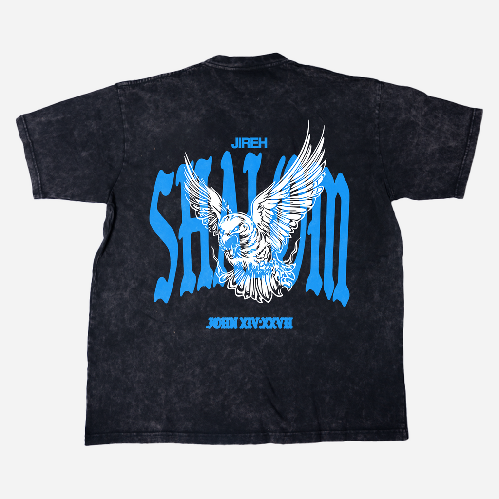 Jireh Shalom Dove – Heavyweight T-Shirt (Relaunch Edition)