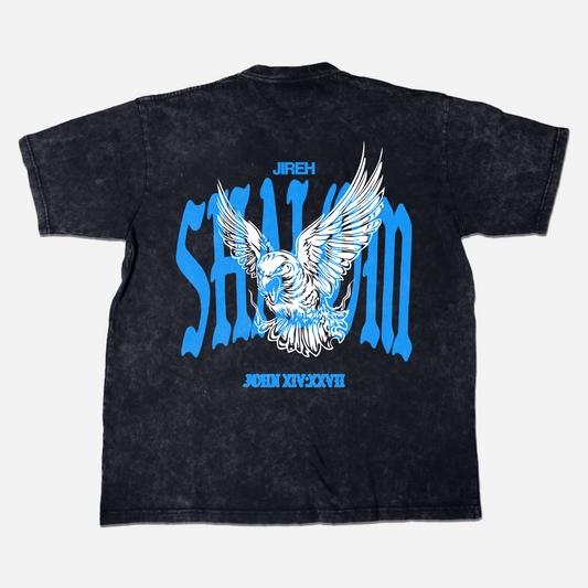 Vintage washed black t-shirt with Jireh Shalom text, dove graphic, and John 14:27 scripture