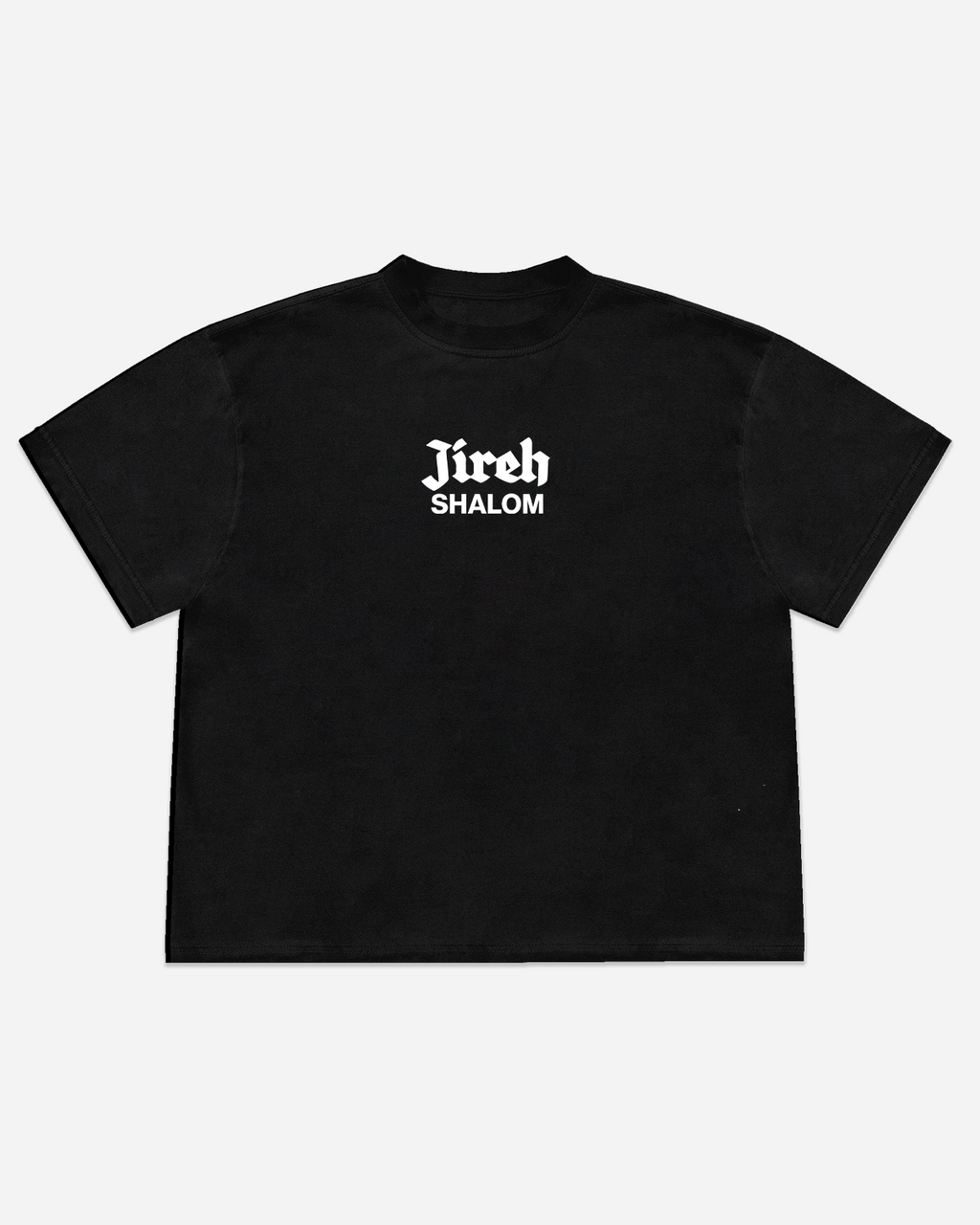 YHWH King of Kings Heavyweight Tee
