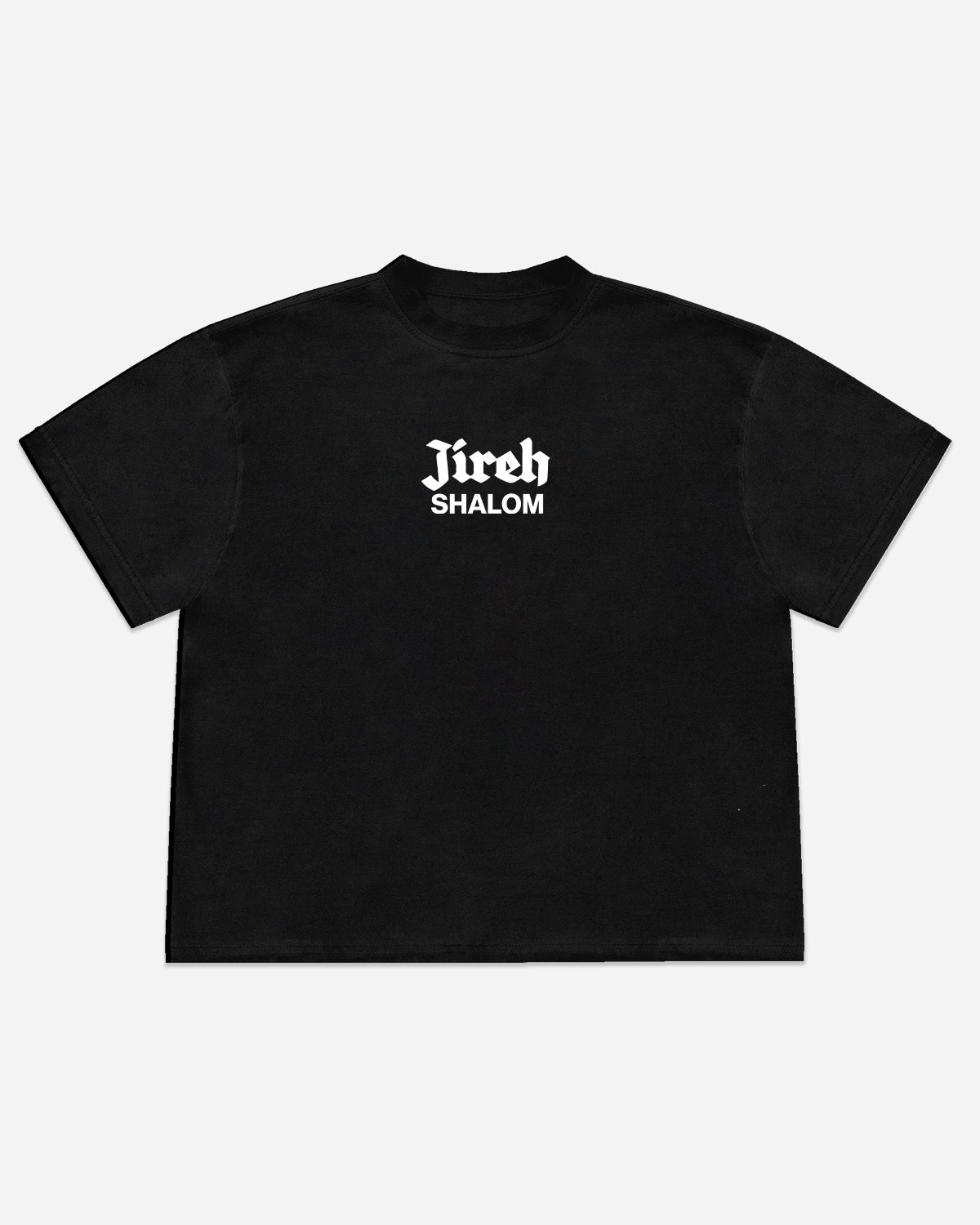 YHWH King of Kings Heavyweight Tee