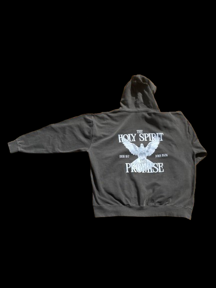 The Holy Spirit/The Promise l Heavy weight Hoodie